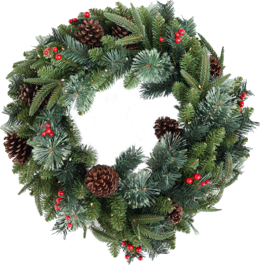 venec retush kopie 2venec