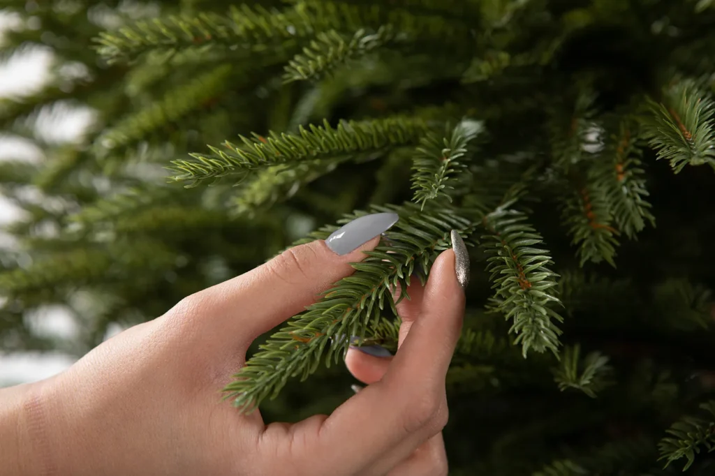 ultrareal vzhled kopie